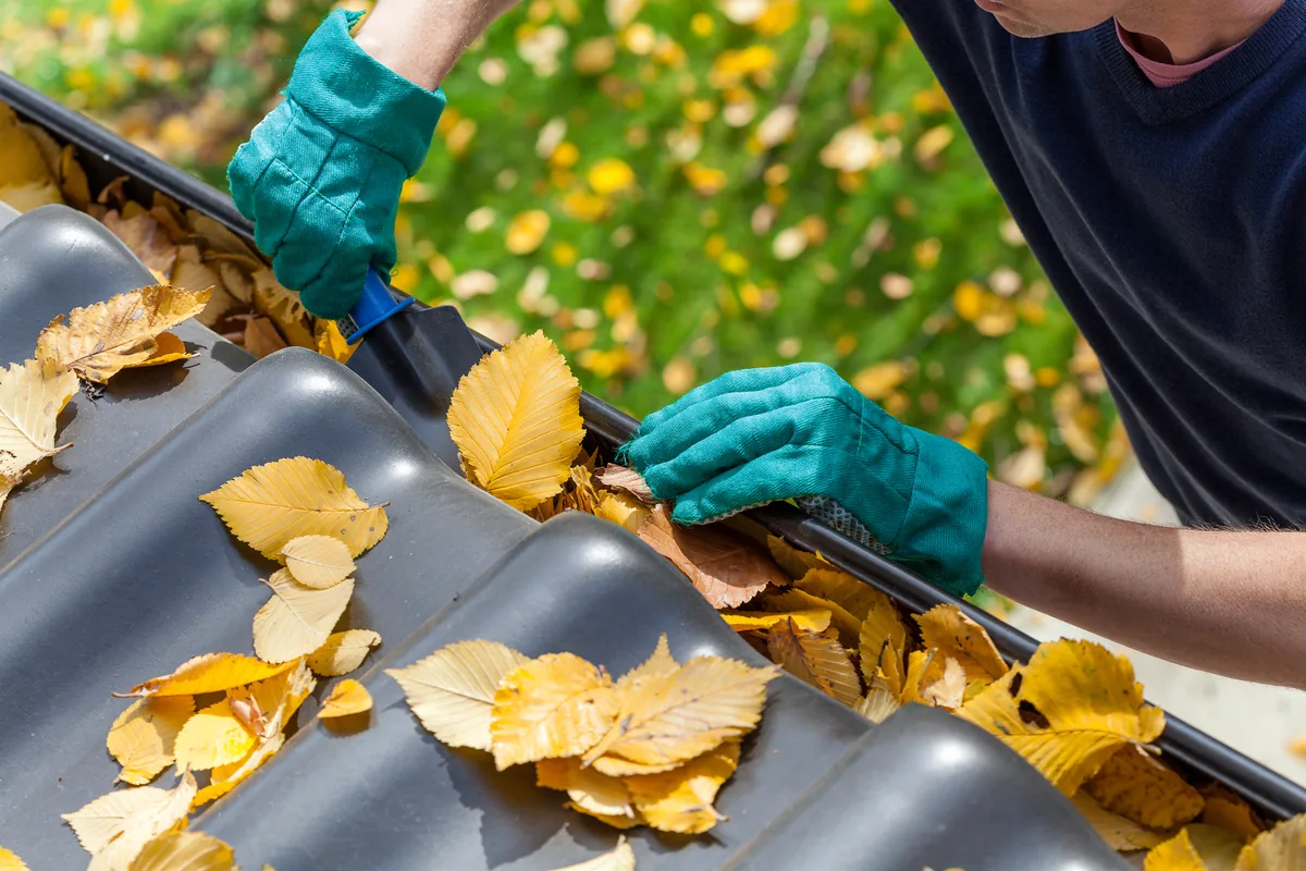 Eavestrough cleaning in Vancouver, BC — removing autumn leaves from a residential eavestrough by hand